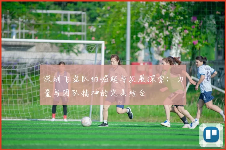 深圳飞盘队的崛起与发展探索:力量与团队精神的完美结合