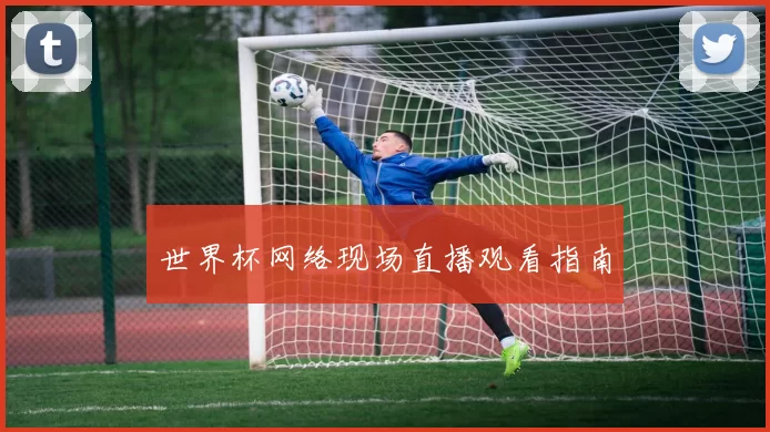 世界杯网络现场直播观看指南