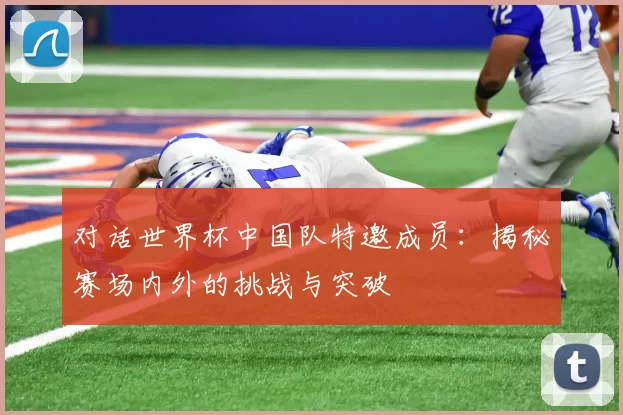 对话世界杯中国队特邀成员：揭秘赛场内外的挑战与突破
