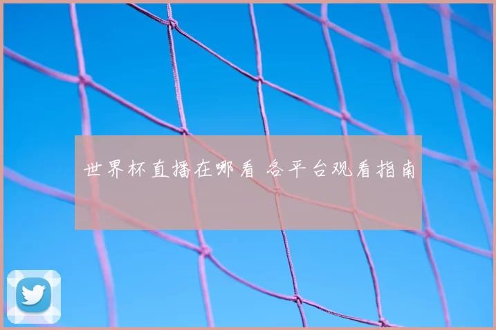 世界杯直播在哪看 各平台观看指南