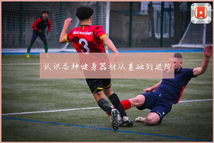 认识各种健身器材从基础到进阶