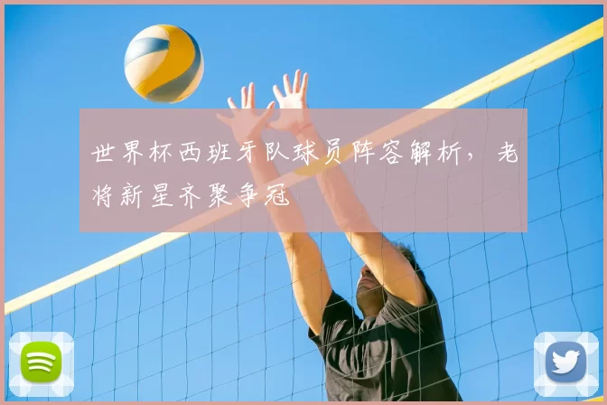 世界杯西班牙队球员阵容解析，老将新星齐聚争冠