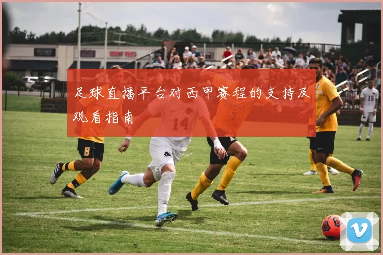 足球直播平台对西甲赛程的支持及观看指南