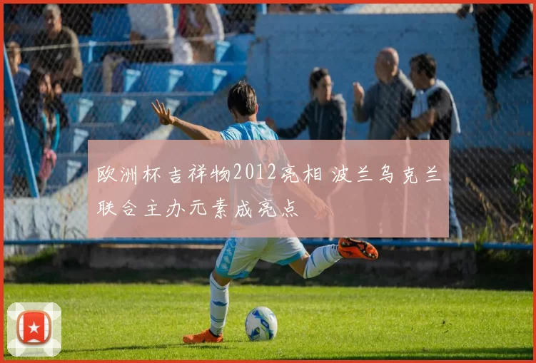 欧洲杯吉祥物2012亮相 波兰乌克兰联合主办元素成亮点