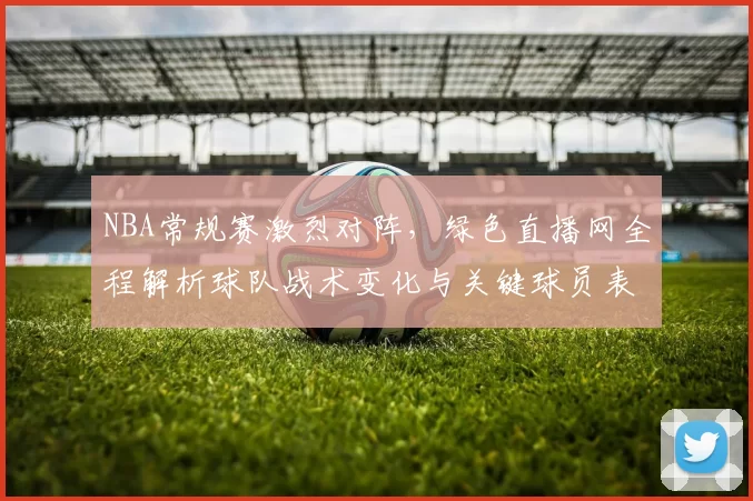 NBA常规赛激烈对阵，绿色直播网全程解析球队战术变化与关键球员表现