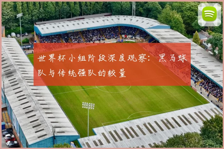 世界杯小组阶段深度观察：黑马球队与传统强队的较量