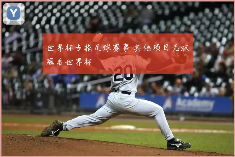 世界杯专指足球赛事 其他项目无权冠名世界杯