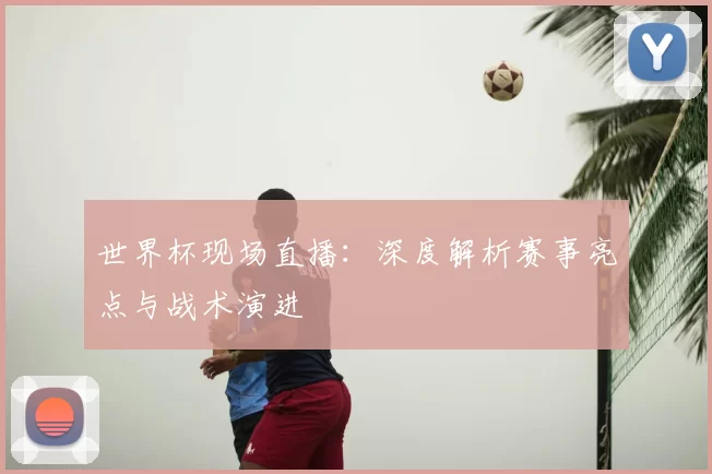 世界杯现场直播：深度解析赛事亮点与战术演进