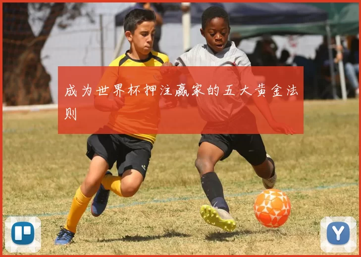 成为世界杯押注赢家的五大黄金法则