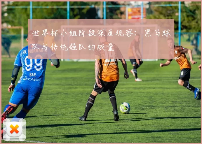 世界杯小组阶段深度观察：黑马球队与传统强队的较量