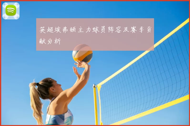 英超埃弗顿主力球员阵容及赛季贡献分析
