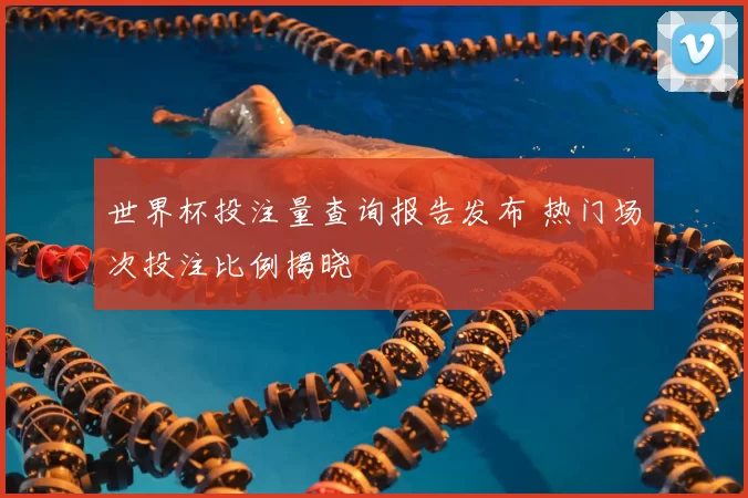 世界杯投注量查询报告发布 热门场次投注比例揭晓