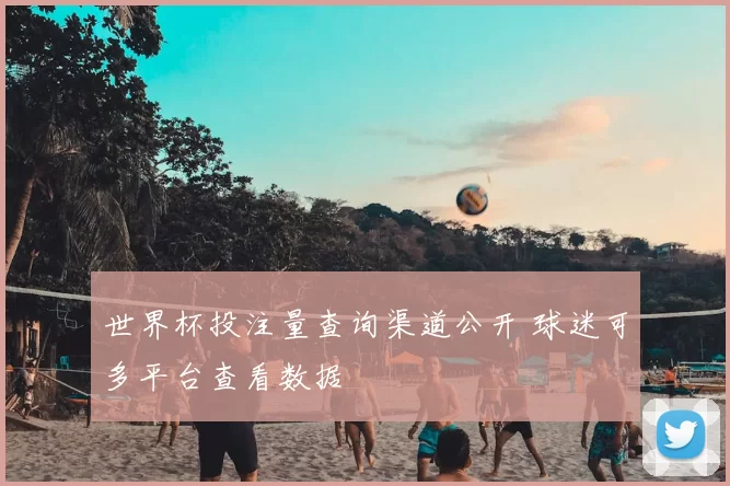 世界杯投注量查询渠道公开 球迷可多平台查看数据