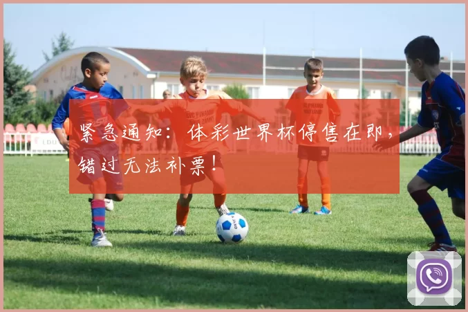 紧急通知：体彩世界杯停售在即，错过无法补票！