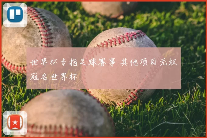 世界杯专指足球赛事 其他项目无权冠名世界杯