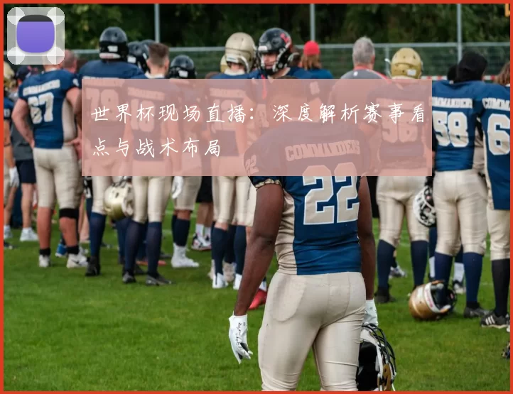 世界杯现场直播：深度解析赛事看点与战术布局