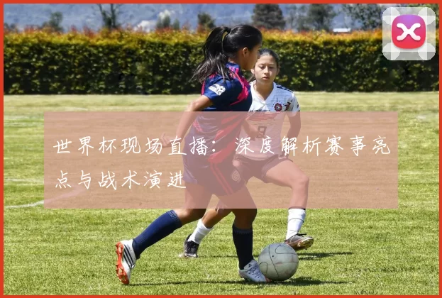 世界杯现场直播：深度解析赛事亮点与战术演进