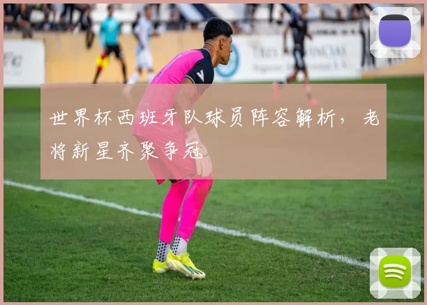 世界杯西班牙队球员阵容解析，老将新星齐聚争冠